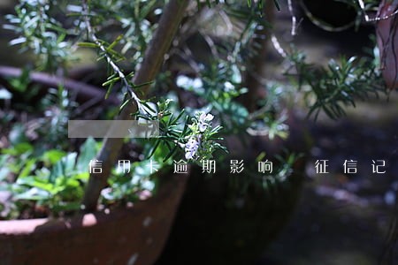 信用卡逾期影响 征信记录吗 信用卡逾期影响 征信记录吗